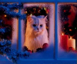 yapboz Kedi Noel&#039;de pencereden dışarı bakarak